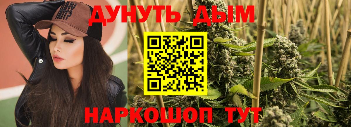 Бошки марихуана план  Бошки марихуана индика  Вход с VPN  Конопля Ganja  Тимашёвск 